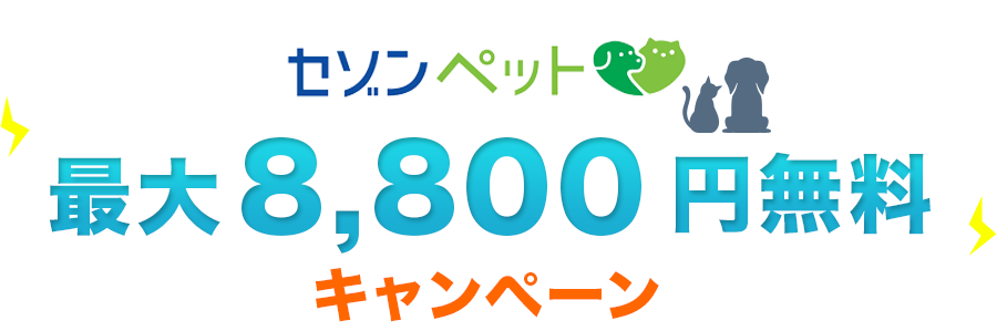 最大8800円無料キャンペーン